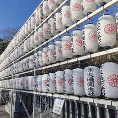 投稿日:2024年1月1日 写真