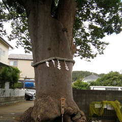 投稿日:2024年9月21日 写真