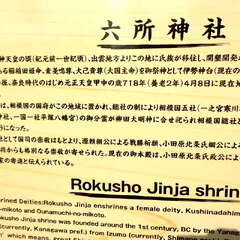 投稿日:2025年6月20日 写真