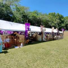 投稿日:2023年5月5日 写真