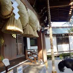 投稿日:2019年3月21日 写真