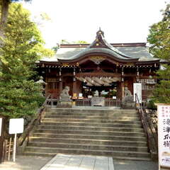 投稿日:2025年6月20日 写真