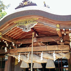 投稿日:2018年4月29日 写真