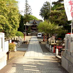 投稿日:2025年6月20日 写真