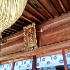 投稿日:2025年6月17日 写真