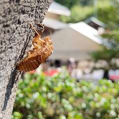 投稿日:2024年8月13日 写真