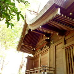 投稿日:2025年6月20日 写真