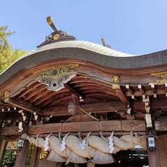 投稿日:2023年5月5日 写真