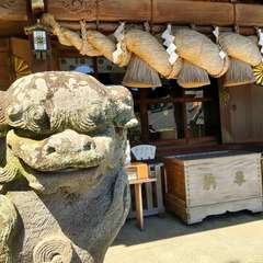 投稿日:2023年8月18日 写真