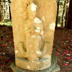 白籏社(投稿日:2025年6月20日) 写真