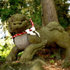 八幡神社(投稿日:2025年6月20日) 写真