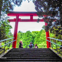 写真