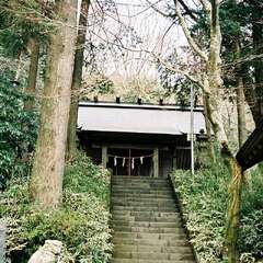 諏訪神社(投稿日:2025年10月13日) 写真