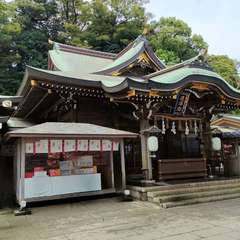 投稿日:2023年9月9日 写真