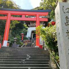 投稿日:2023年9月9日 写真