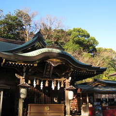 投稿日:2023年12月21日 写真