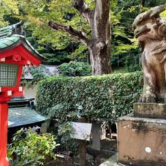 投稿日:2023年9月9日 写真