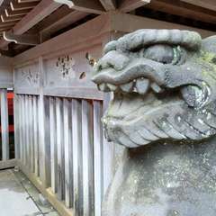 投稿日:2023年9月9日 写真