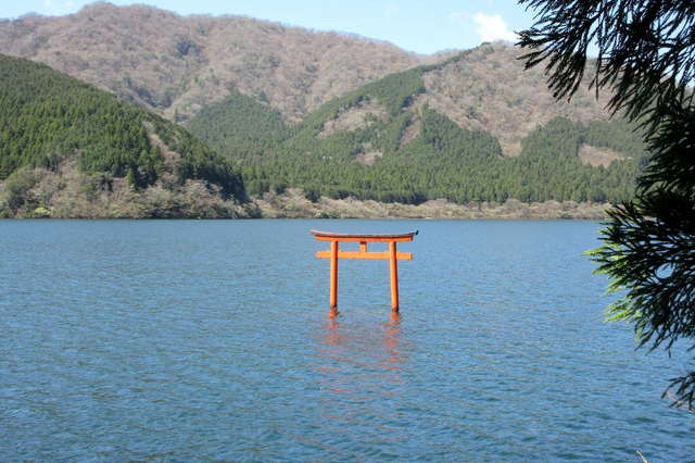 写真