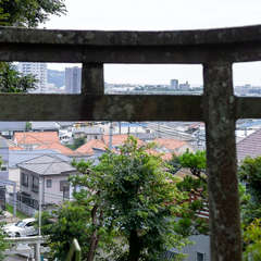 写真