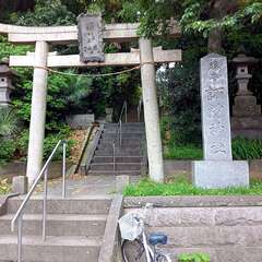 写真