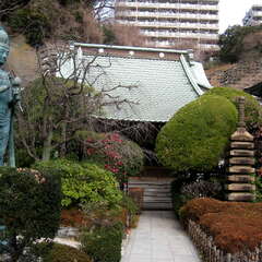 大光寺(投稿日:2025年1月19日) 写真