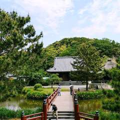 投稿日:2020年5月5日 写真