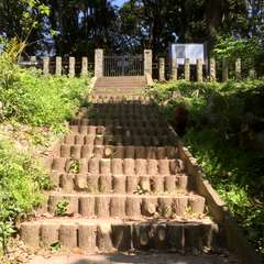 投稿日:2015年11月5日 写真