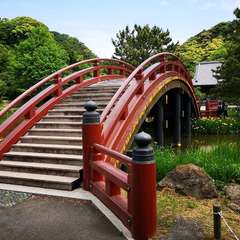 投稿日:2020年5月5日 写真