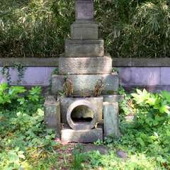 投稿日:2015年11月5日 写真