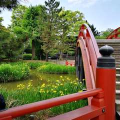 投稿日:2020年5月5日 写真