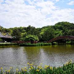 投稿日:2020年5月5日 写真