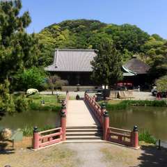 投稿日:2015年11月5日 写真