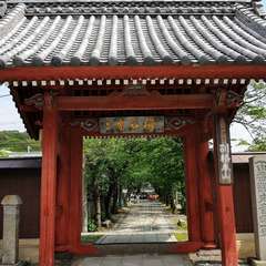 投稿日:2020年5月5日 写真