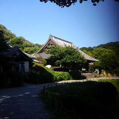 投稿日:2018年6月29日 写真