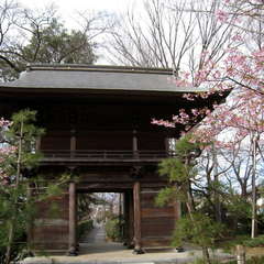 瀬谷山 徳善寺(投稿日:2024年3月2日) 写真
