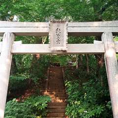 写真