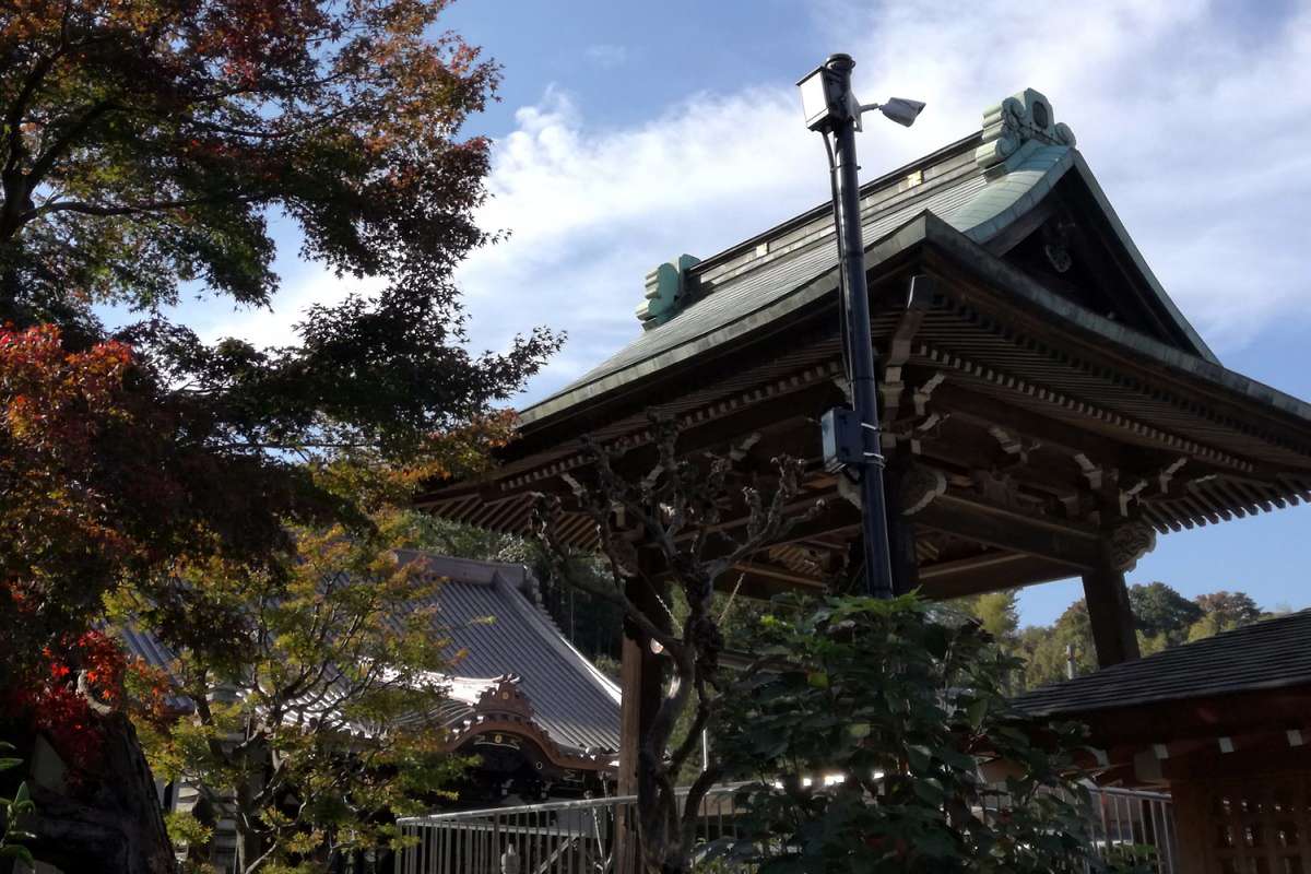 写真