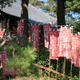 坂中山 観音寺
