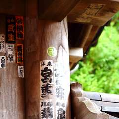 投稿日:2014年12月10日 写真