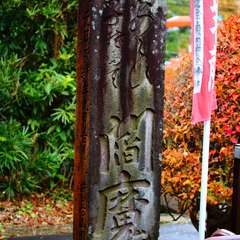 投稿日:2014年12月10日 写真