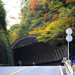 投稿日:2014年12月10日 写真