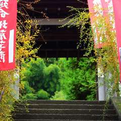 投稿日:2014年12月10日 写真