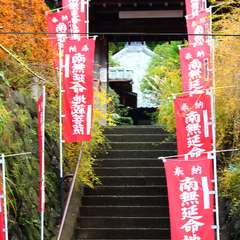 投稿日:2014年12月10日 写真