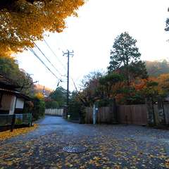 投稿日:2014年12月2日 写真