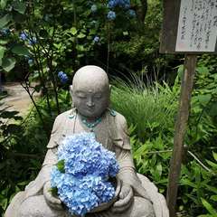 投稿日:2020年6月12日 写真