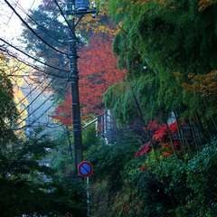 投稿日:2014年12月2日 写真