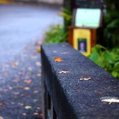 投稿日:2014年12月2日 写真