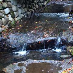 投稿日:2014年12月2日 写真