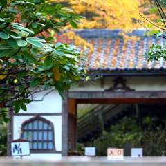 投稿日:2014年12月2日 写真